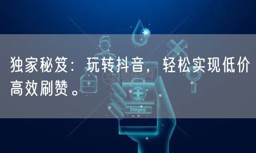 独家秘笈：玩转抖音，轻松实现低价高效刷赞。