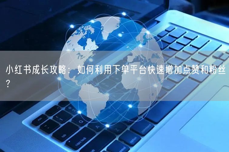 小红书成长攻略：如何利用下单平台快速增加点赞和粉丝？