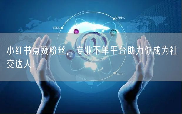 小红书点赞粉丝，专业下单平台助力你成为社交达人！
