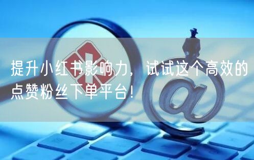 提升小红书影响力，试试这个高效的点赞粉丝下单平台！