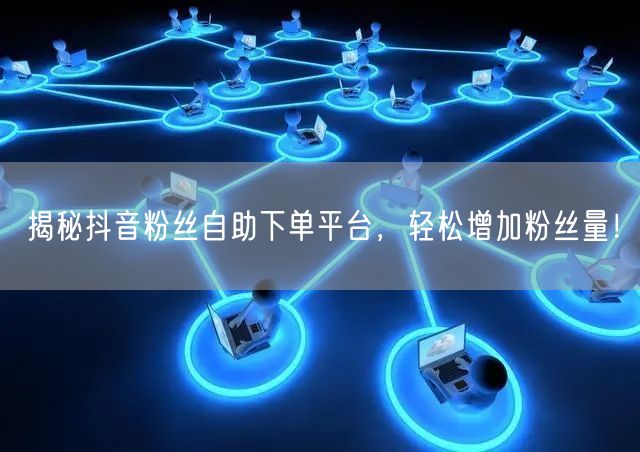 揭秘抖音粉丝自助下单平台，轻松增加粉丝量！