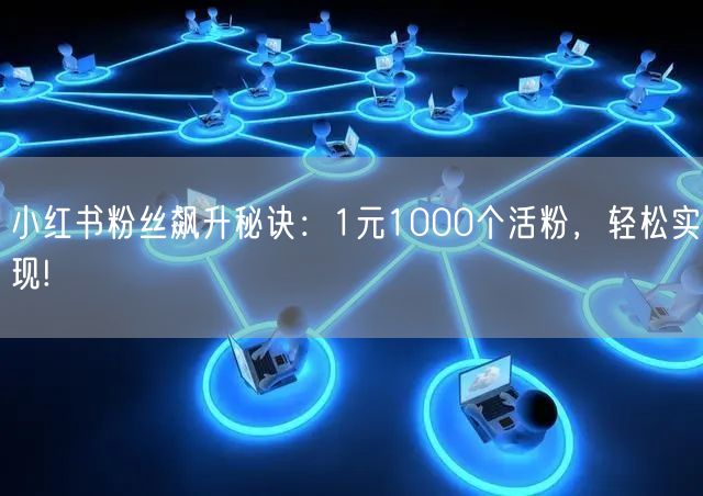 小红书粉丝飙升秘诀：1元1000个活粉，轻松实现!