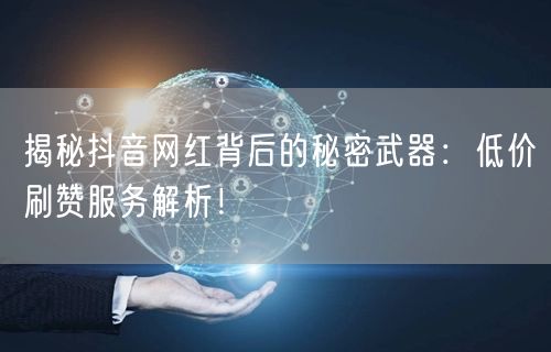 揭秘抖音网红背后的秘密武器：低价刷赞服务解析！