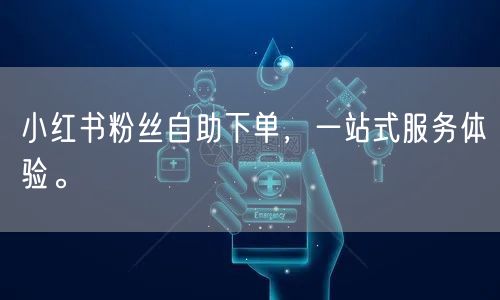 小红书粉丝自助下单，一站式服务体验。