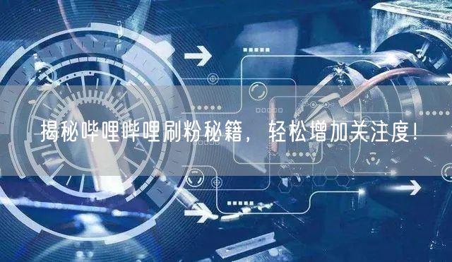 揭秘哔哩哔哩刷粉秘籍，轻松增加关注度！