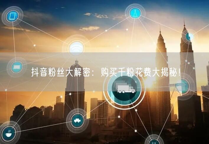 抖音粉丝大解密：购买千粉花费大揭秘！