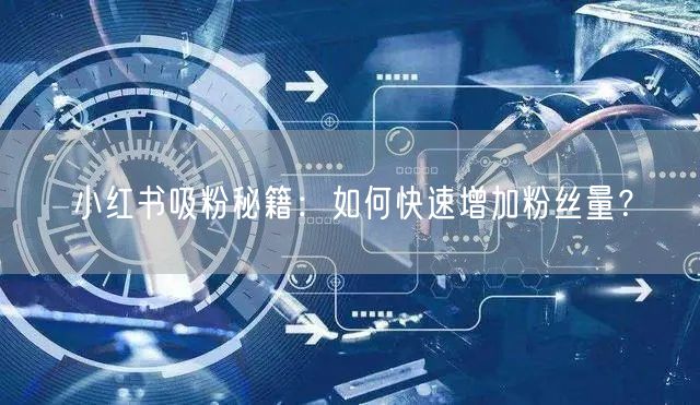 小红书吸粉秘籍：如何快速增加粉丝量？