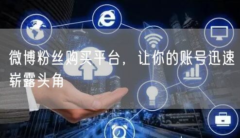 微博粉丝购买平台，让你的账号迅速崭露头角