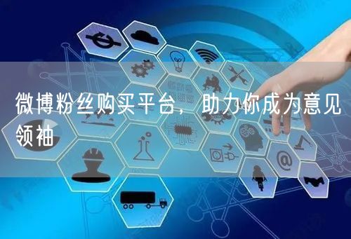 微博粉丝购买平台，助力你成为意见领袖