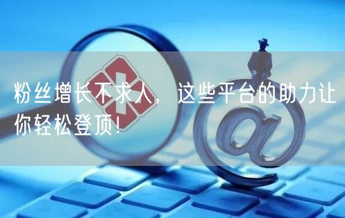 粉丝增长不求人，这些平台的助力让你轻松登顶！