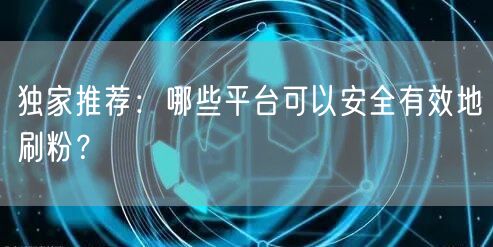 独家推荐：哪些平台可以安全有效地刷粉？