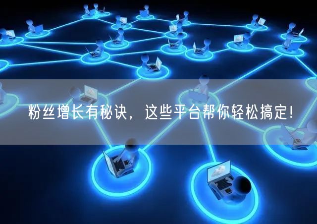 粉丝增长有秘诀，这些平台帮你轻松搞定！