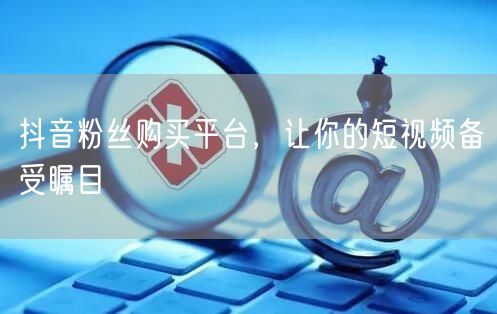 抖音粉丝购买平台，让你的短视频备受瞩目