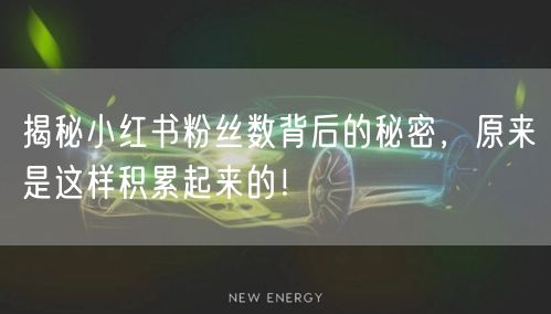 揭秘小红书粉丝数背后的秘密，原来是这样积累起来的！
