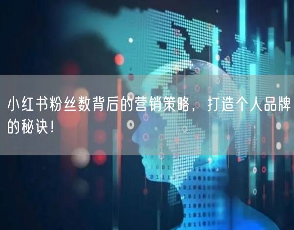 小红书粉丝数背后的营销策略，打造个人品牌的秘诀！