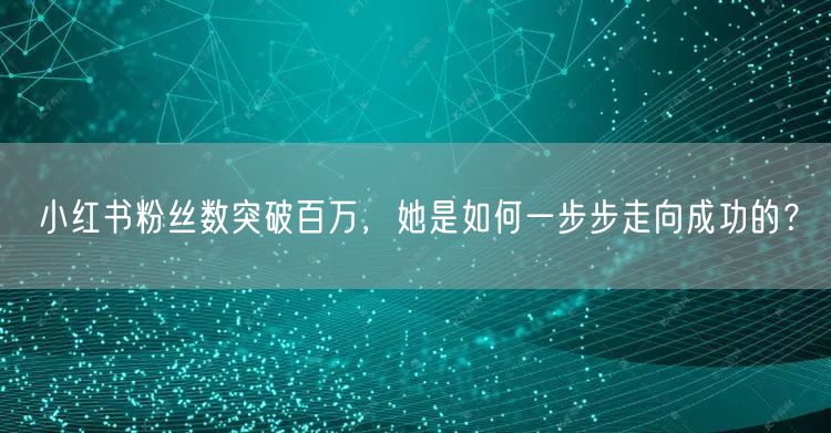 小红书粉丝数突破百万，她是如何一步步走向成功的？