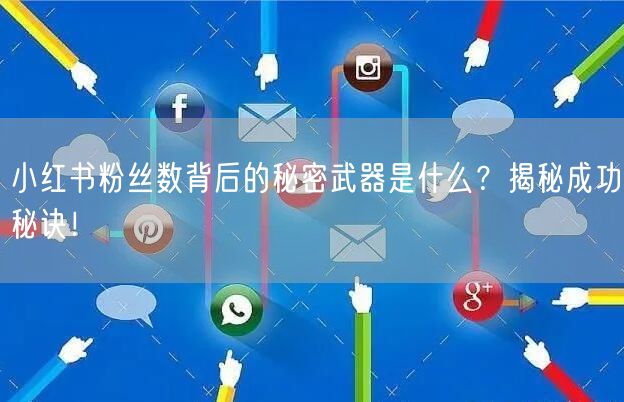 小红书粉丝数背后的秘密武器是什么？揭秘成功秘诀！