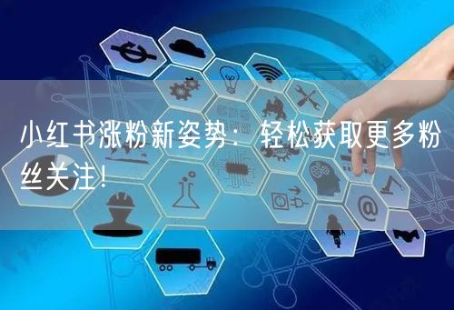 小红书涨粉新姿势：轻松获取更多粉丝关注！