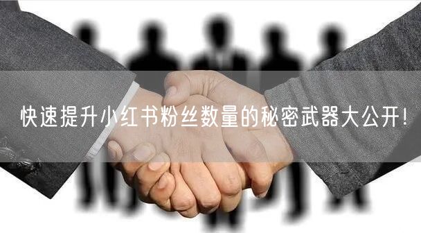 快速提升小红书粉丝数量的秘密武器大公开！