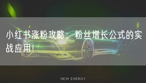 小红书涨粉攻略：粉丝增长公式的实战应用！
