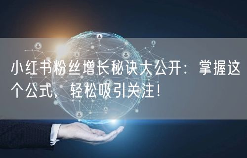小红书粉丝增长秘诀大公开：掌握这个公式，轻松吸引关注！