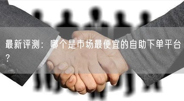 最新评测：哪个是市场最便宜的自助下单平台？