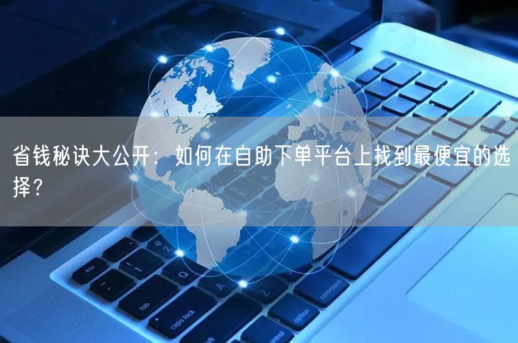 省钱秘诀大公开：如何在自助下单平台上找到最便宜的选择？