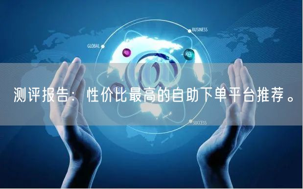 测评报告：性价比最高的自助下单平台推荐。