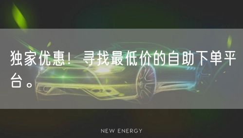 独家优惠！寻找最低价的自助下单平台。