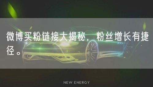 微博买粉链接大揭秘，粉丝增长有捷径。